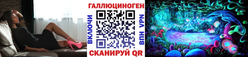 Галлюциногенные грибы Psilocybe Красный Кут