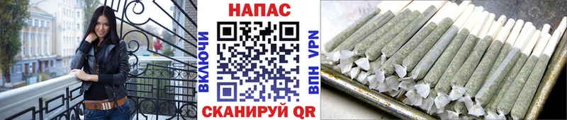 наркошоп Красный Кут kraken сайт Шишки марихуана OG Kush